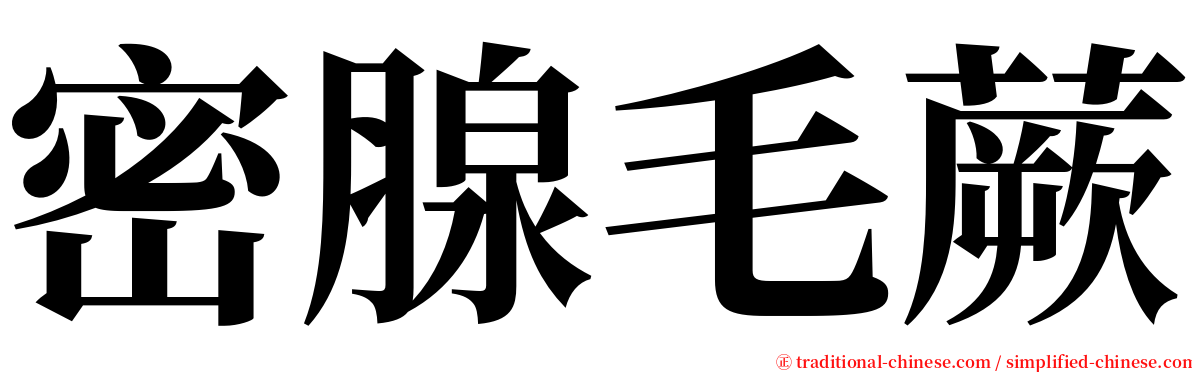 密腺毛蕨 serif font