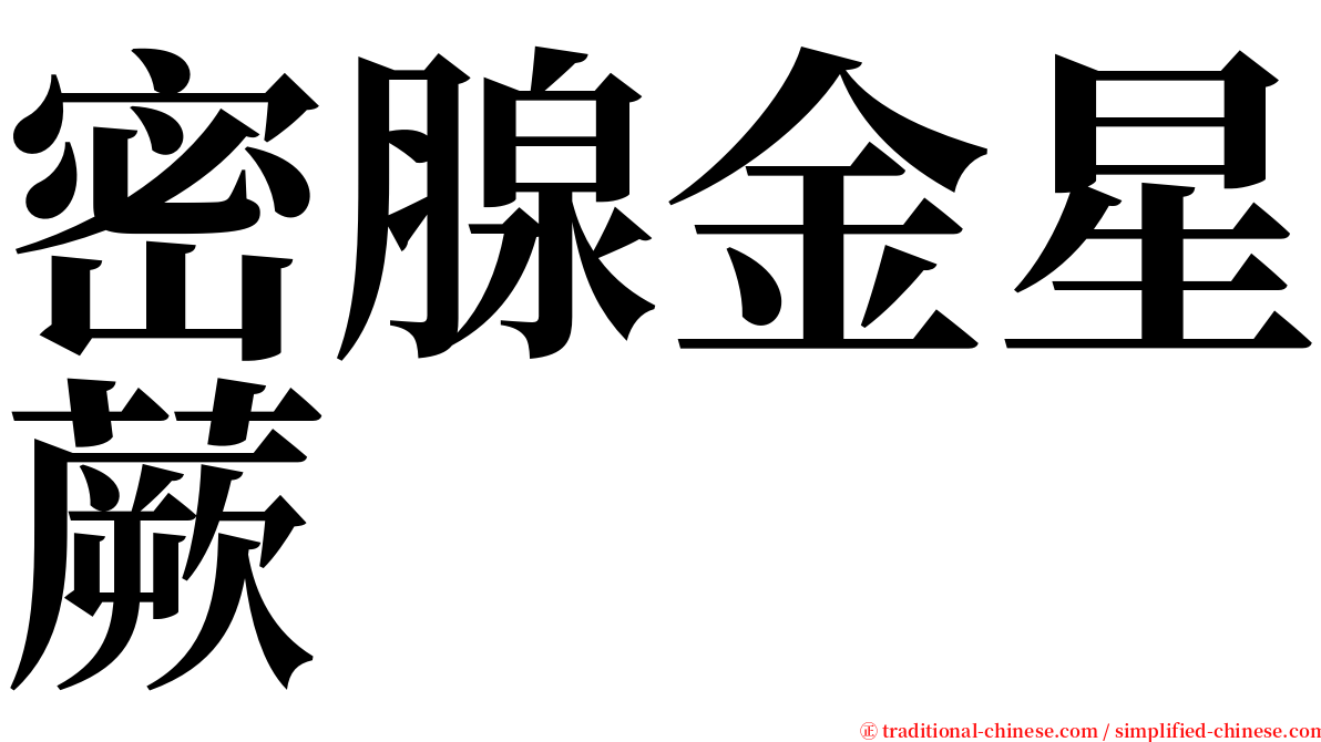 密腺金星蕨 serif font