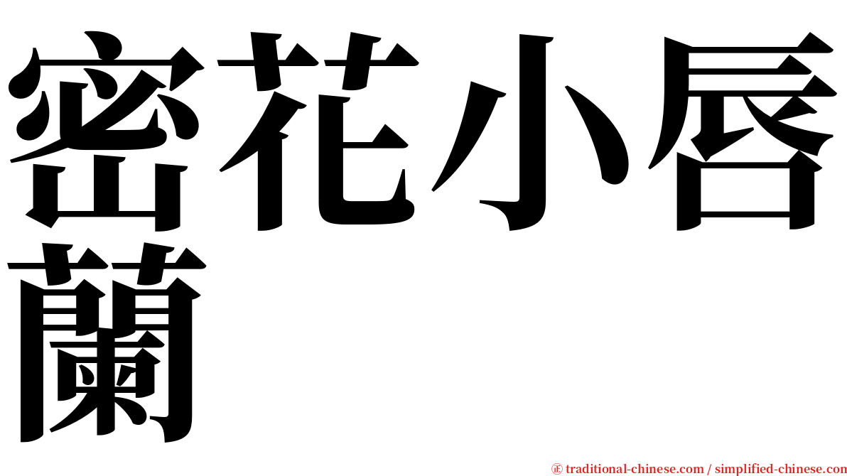 密花小唇蘭 serif font