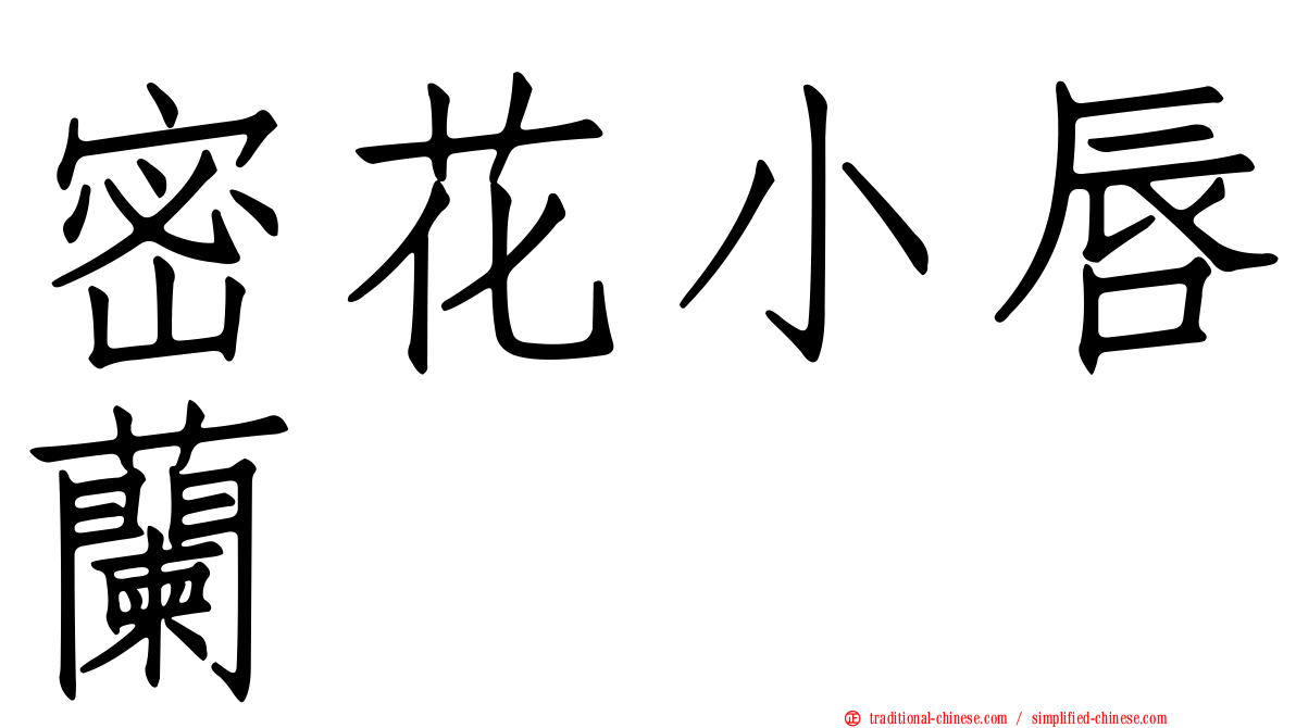 密花小唇蘭