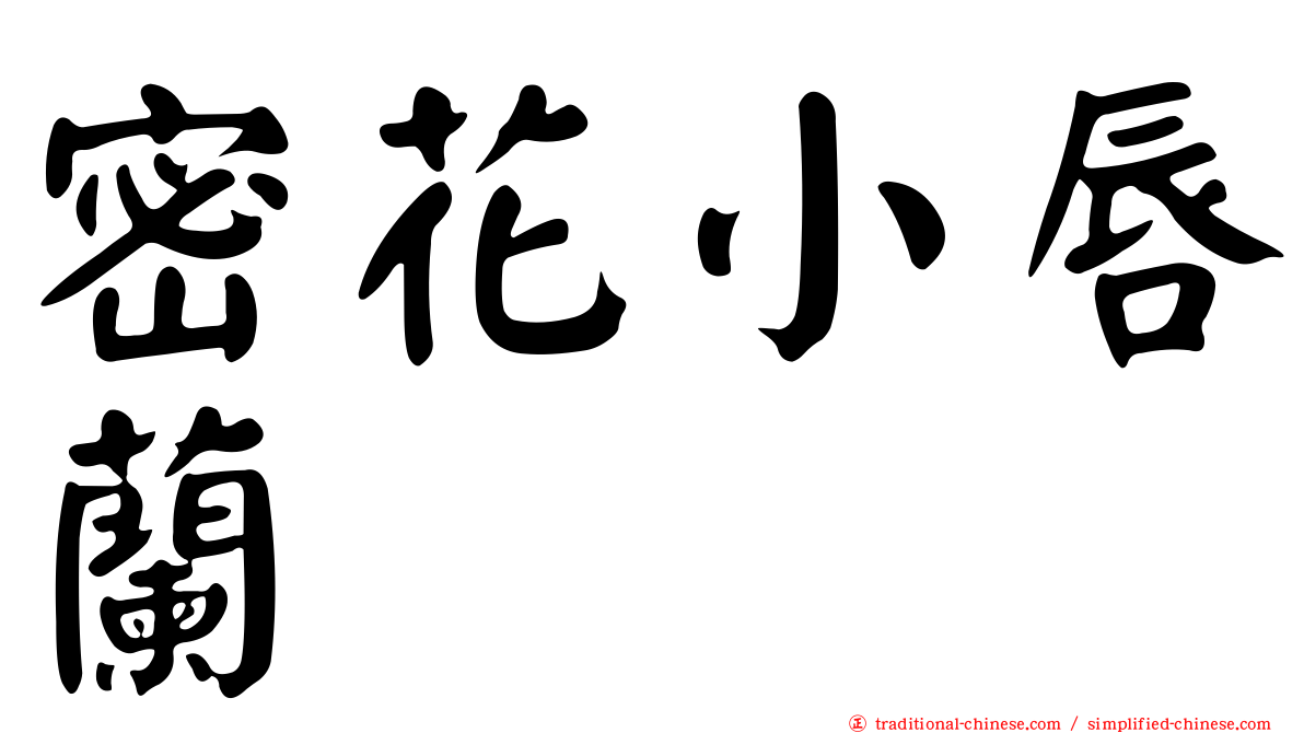 密花小唇蘭