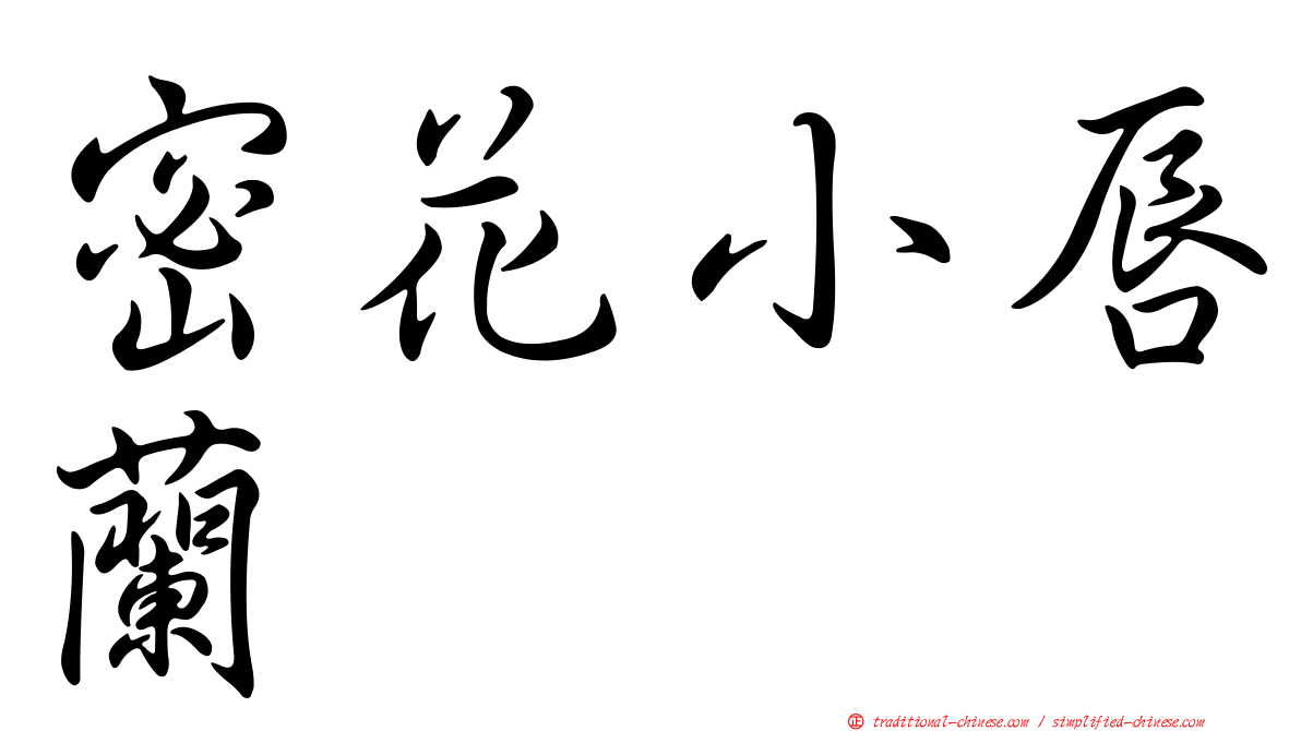 密花小唇蘭