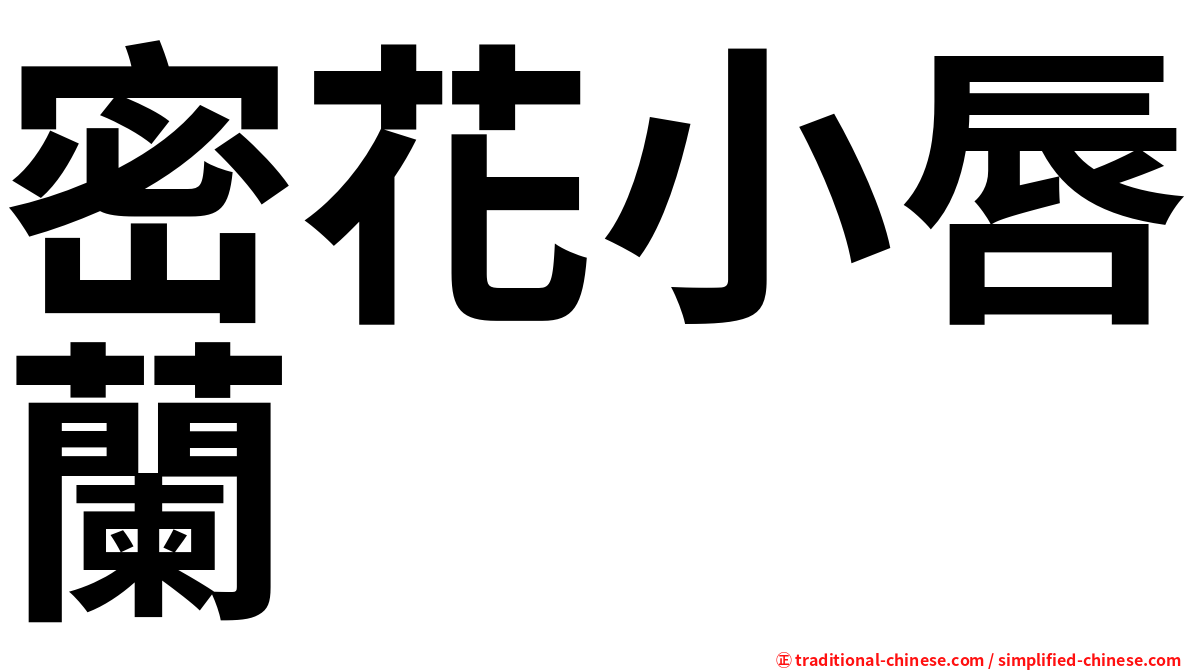 密花小唇蘭