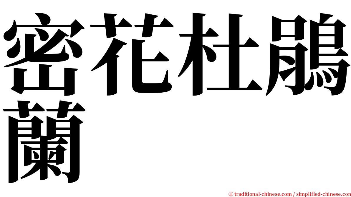 密花杜鵑蘭 serif font
