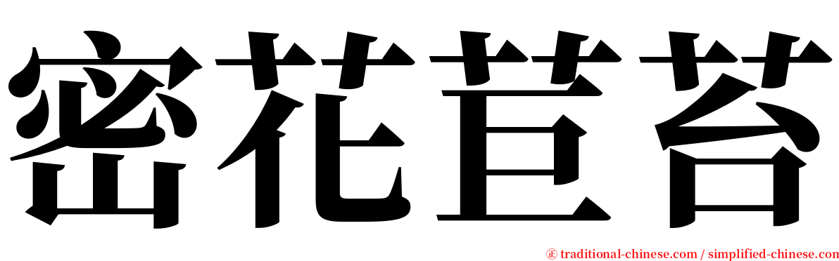 密花苣苔 serif font