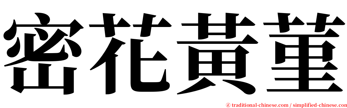 密花黃菫 serif font