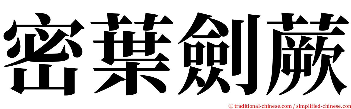 密葉劍蕨 serif font