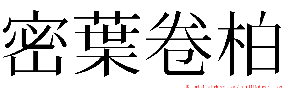 密葉卷柏 ming font