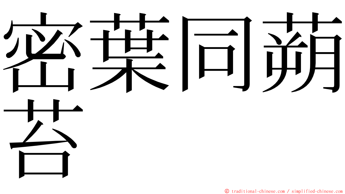 密葉同蒴苔 ming font