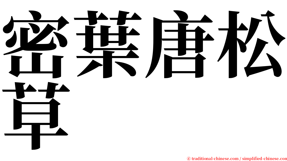 密葉唐松草 serif font