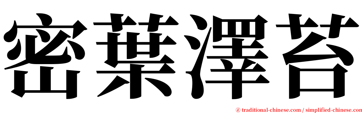 密葉澤苔 serif font