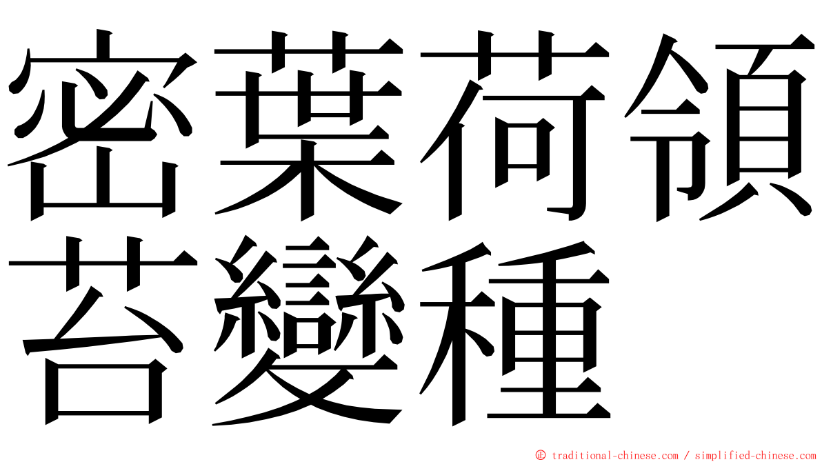 密葉荷領苔變種 ming font