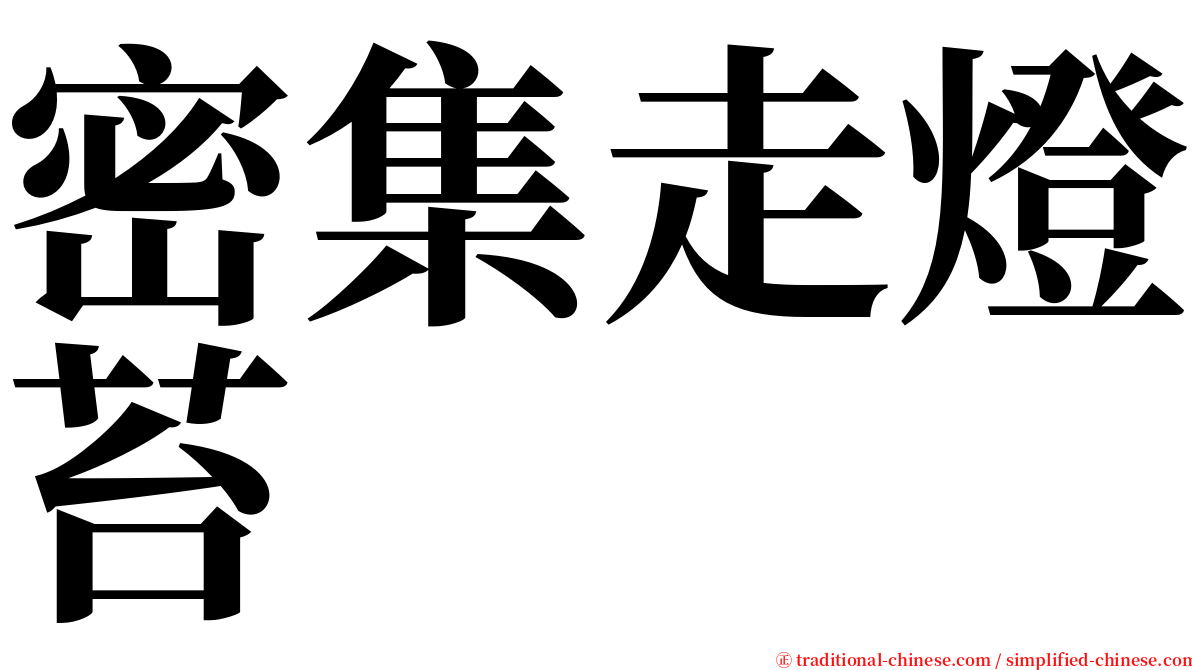 密集走燈苔 serif font