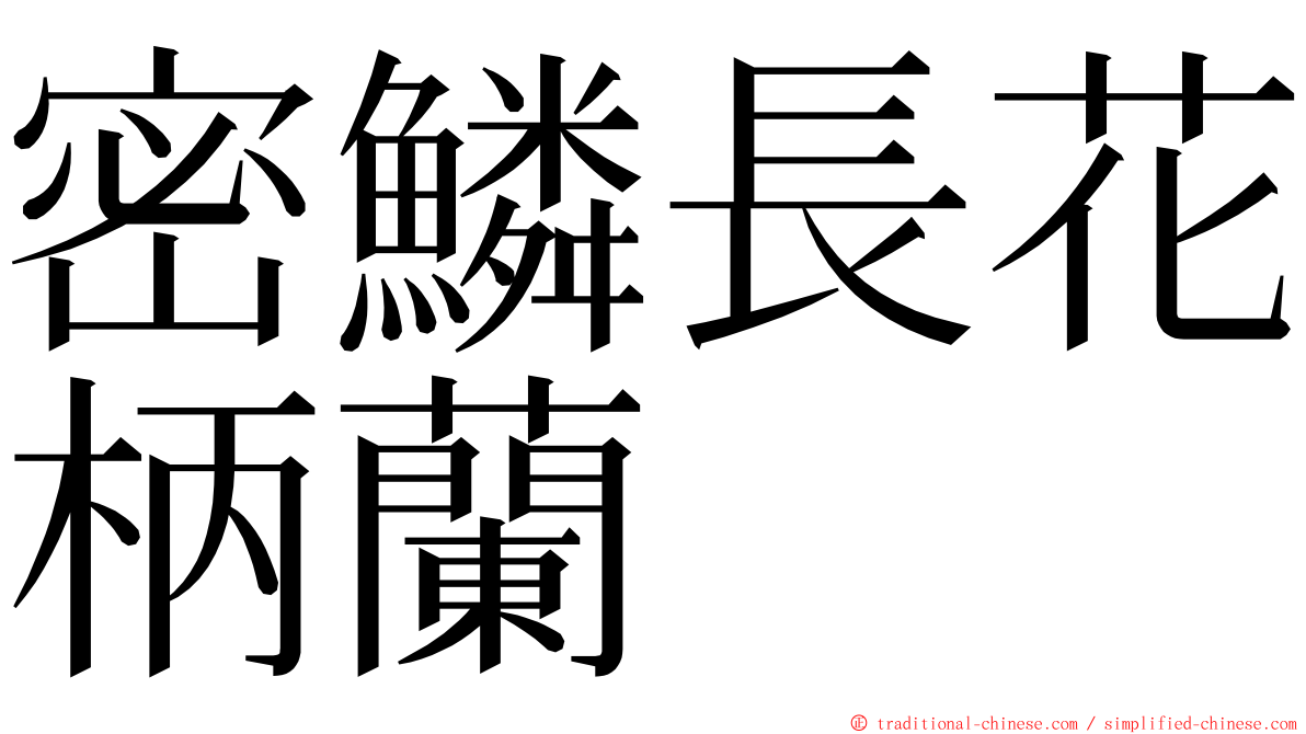 密鱗長花柄蘭 ming font