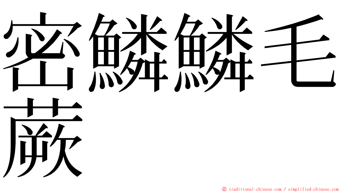 密鱗鱗毛蕨 ming font