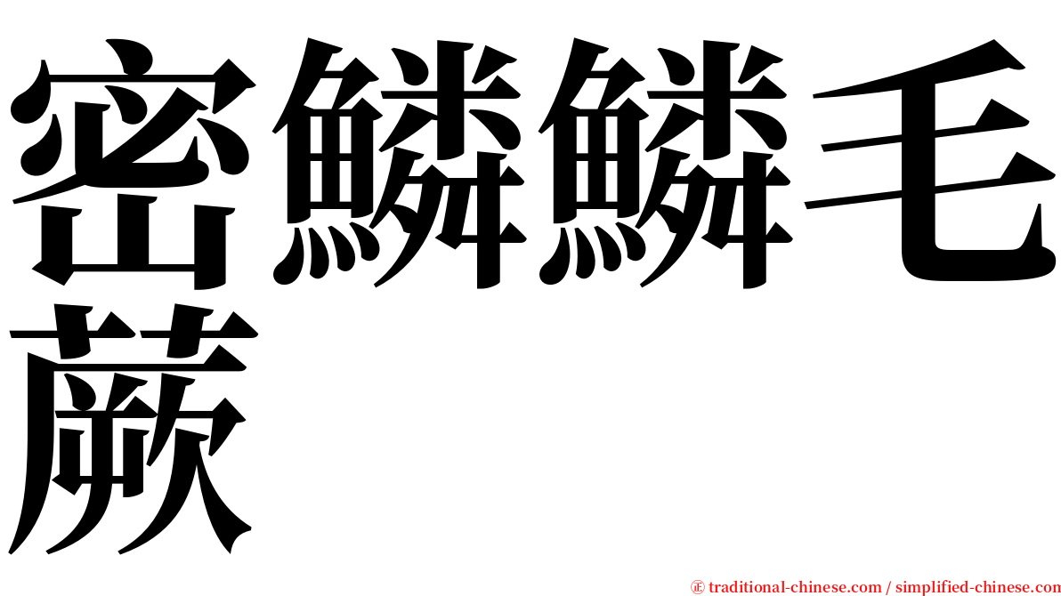 密鱗鱗毛蕨 serif font