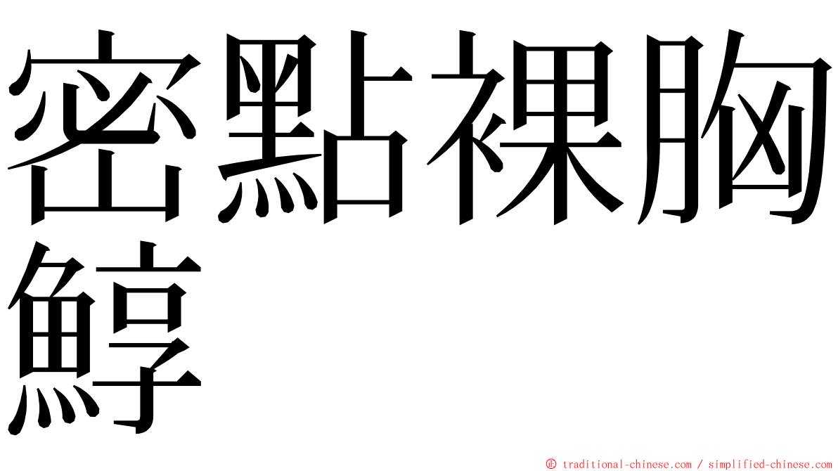 密點裸胸鯙 ming font