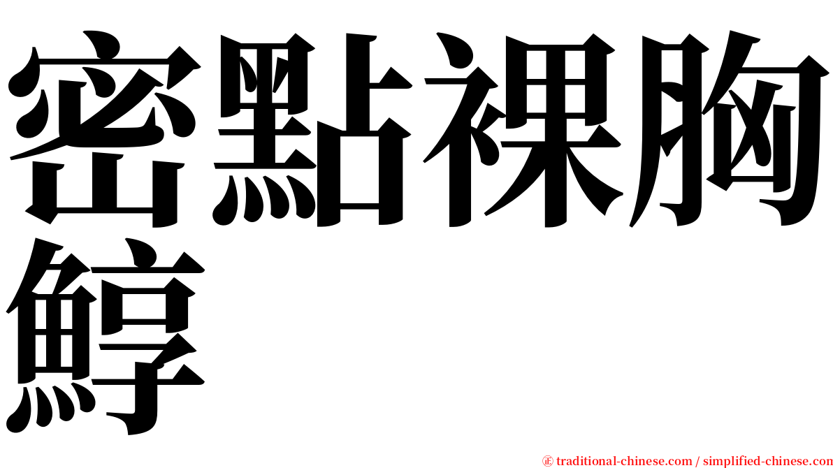 密點裸胸鯙 serif font