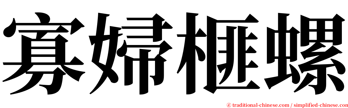 寡婦榧螺 serif font