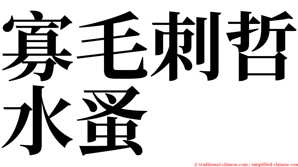 寡毛刺哲水蚤 serif font