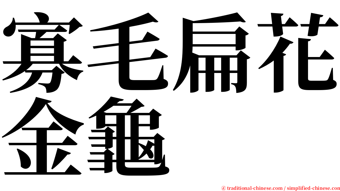 寡毛扁花金龜 serif font