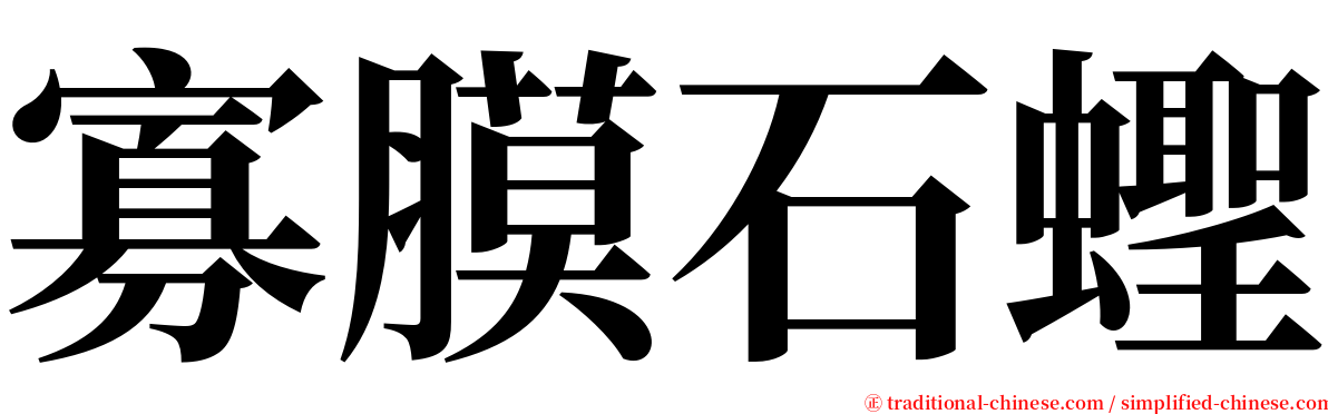 寡膜石蟶 serif font