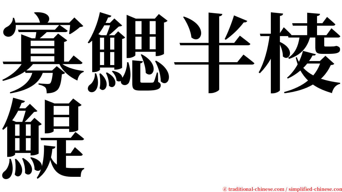 寡鰓半棱鯷 serif font