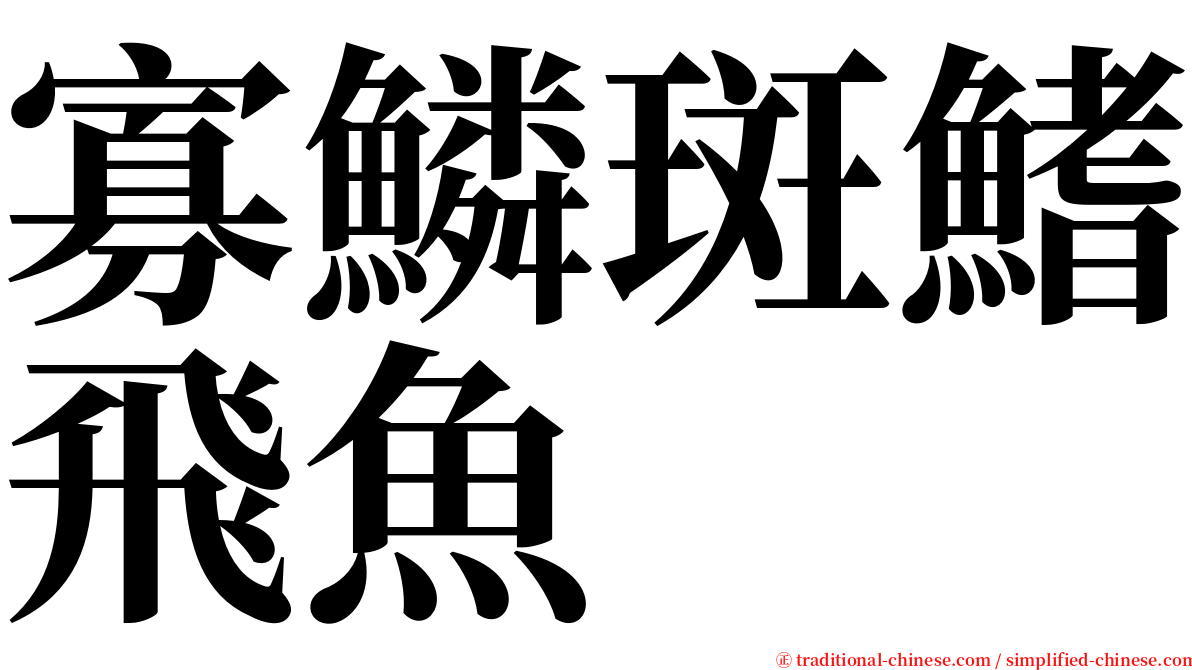 寡鱗斑鰭飛魚 serif font