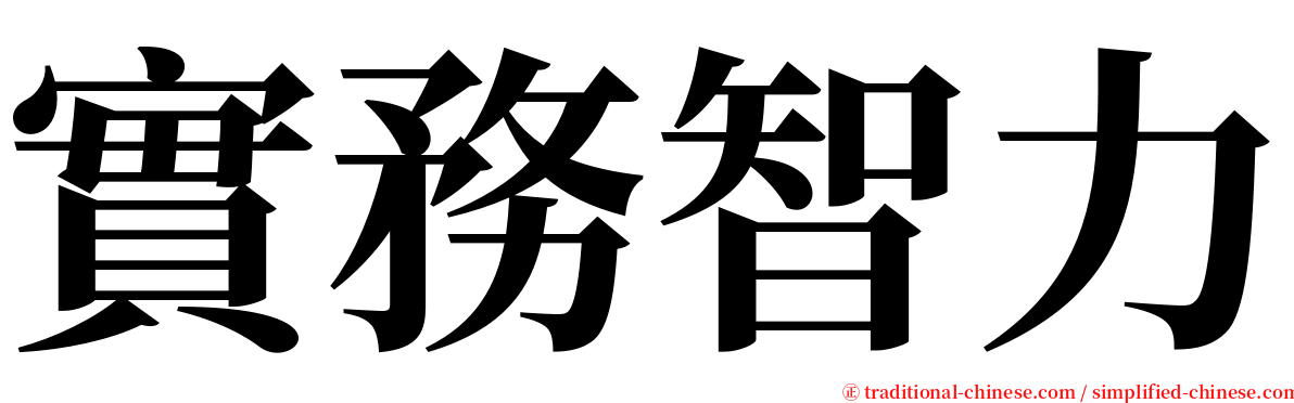 實務智力 serif font