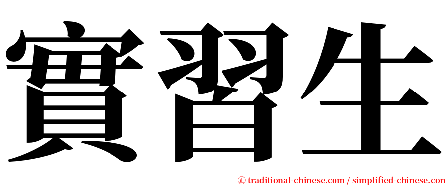 實習生 serif font