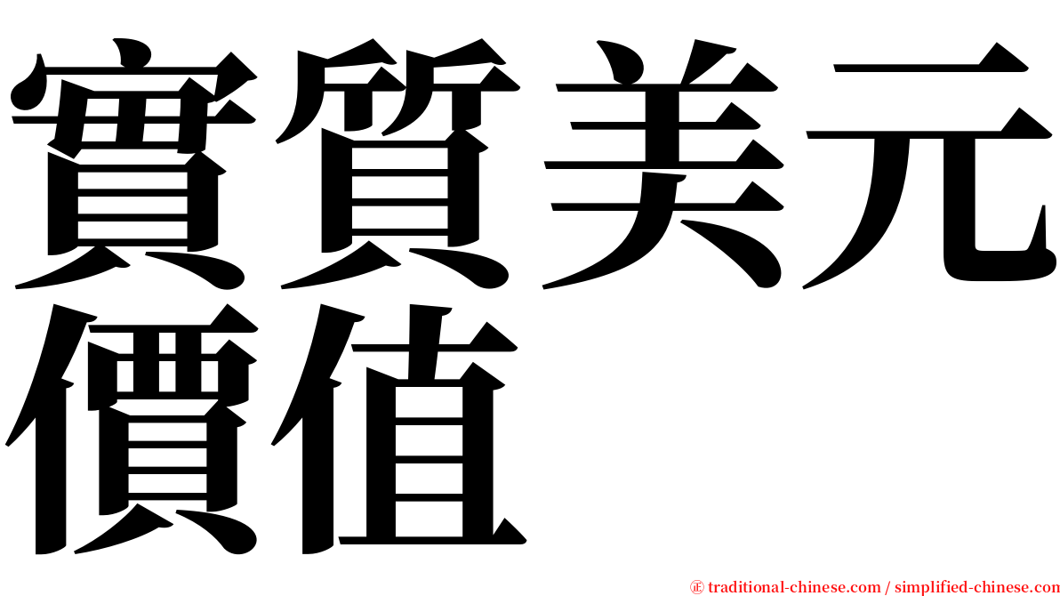 實質美元價值 serif font