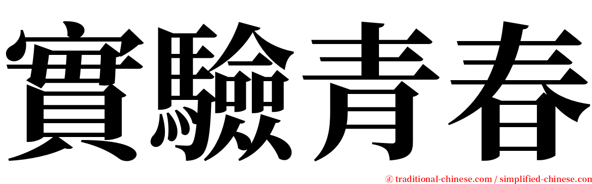 實驗青春 serif font