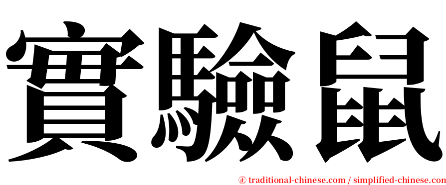 實驗鼠 serif font