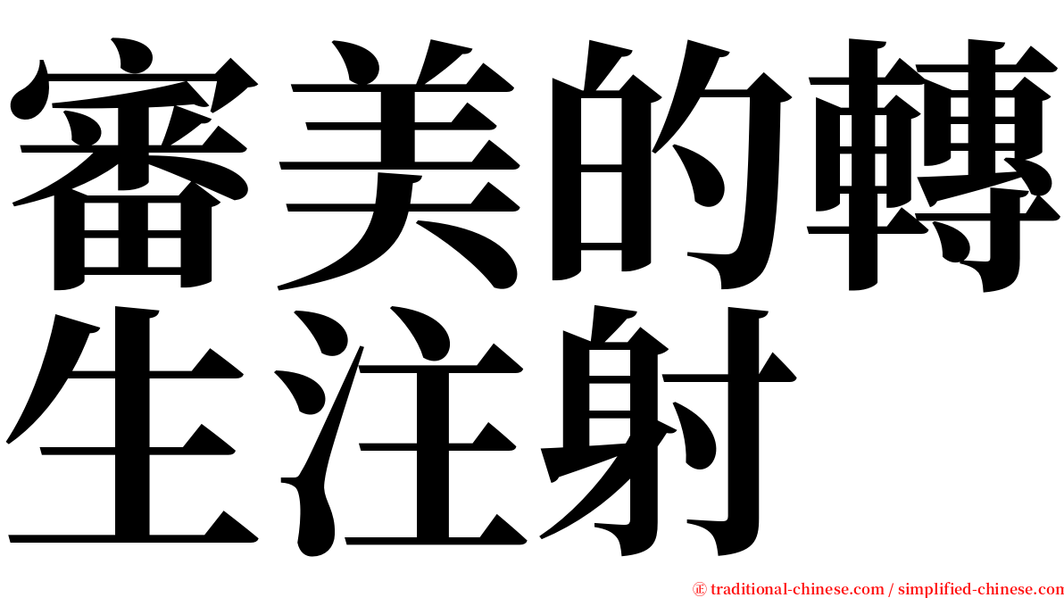 審美的轉生注射 serif font