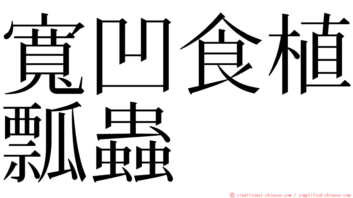 寬凹食植瓢蟲 ming font