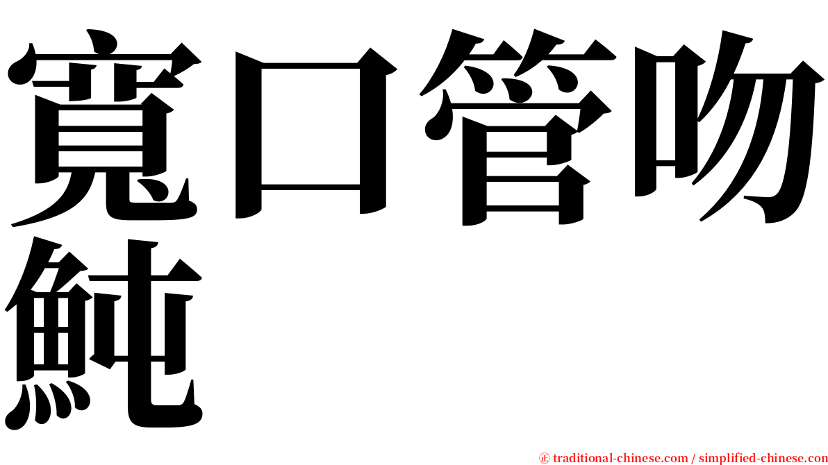 寬口管吻魨 serif font