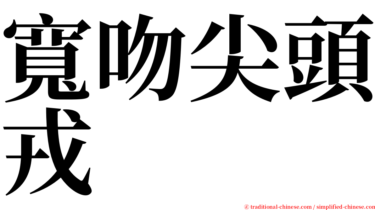 寬吻尖頭戎 serif font