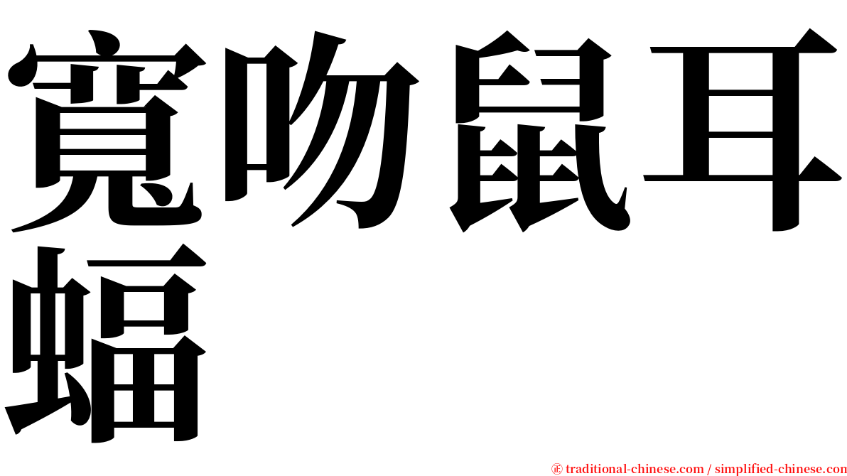 寬吻鼠耳蝠 serif font