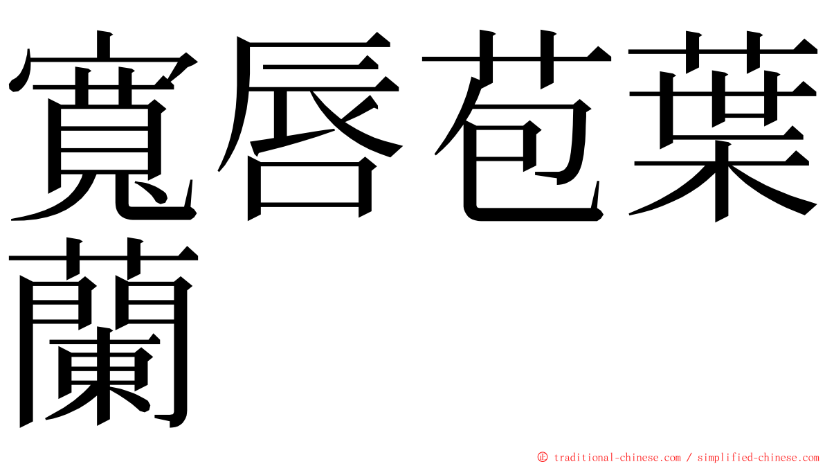 寬唇苞葉蘭 ming font