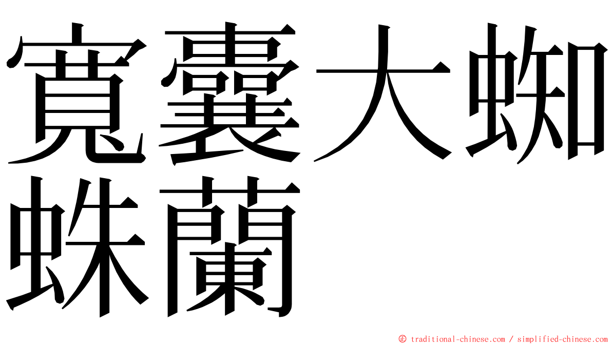 寬囊大蜘蛛蘭 ming font