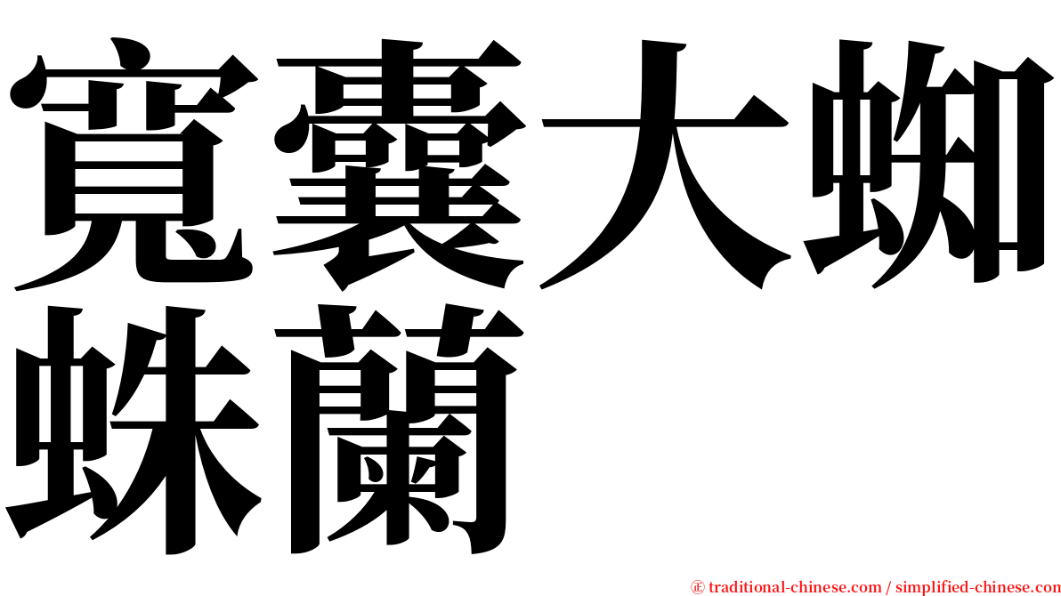 寬囊大蜘蛛蘭 serif font