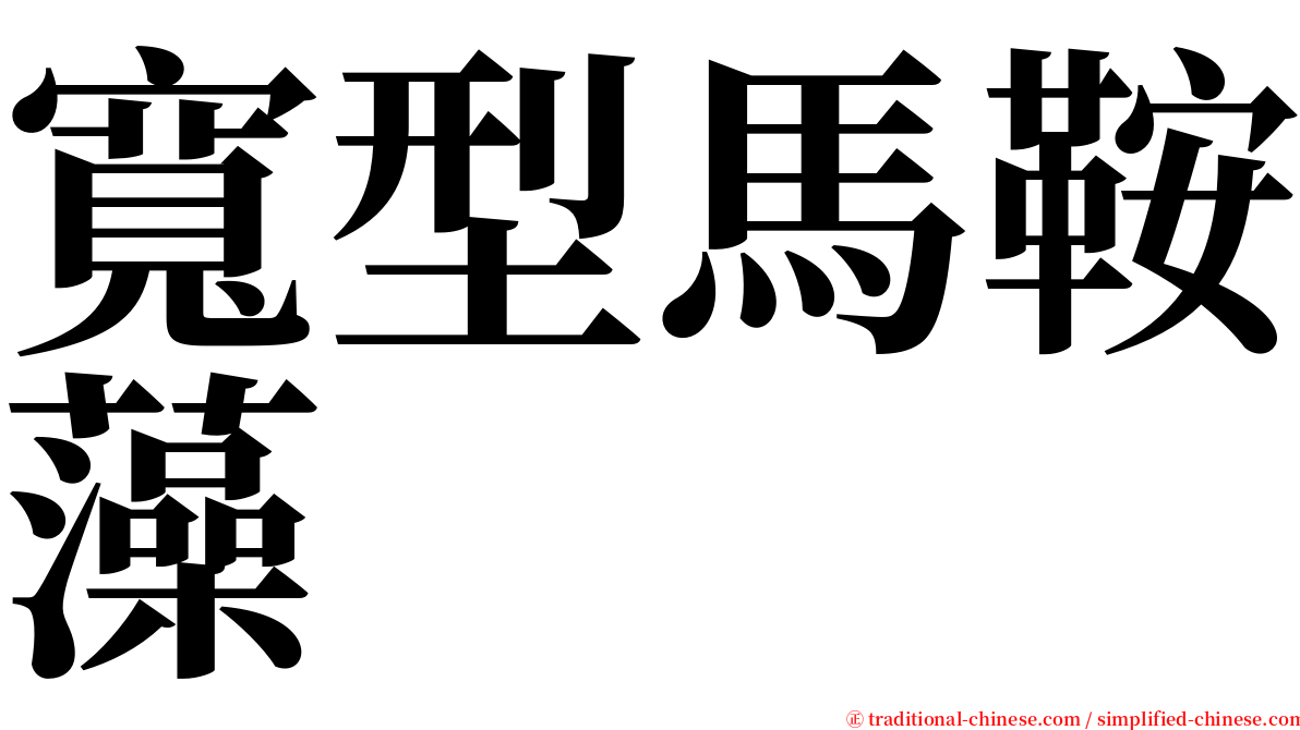 寬型馬鞍藻 serif font