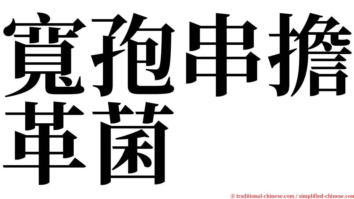 寬孢串擔革菌 serif font