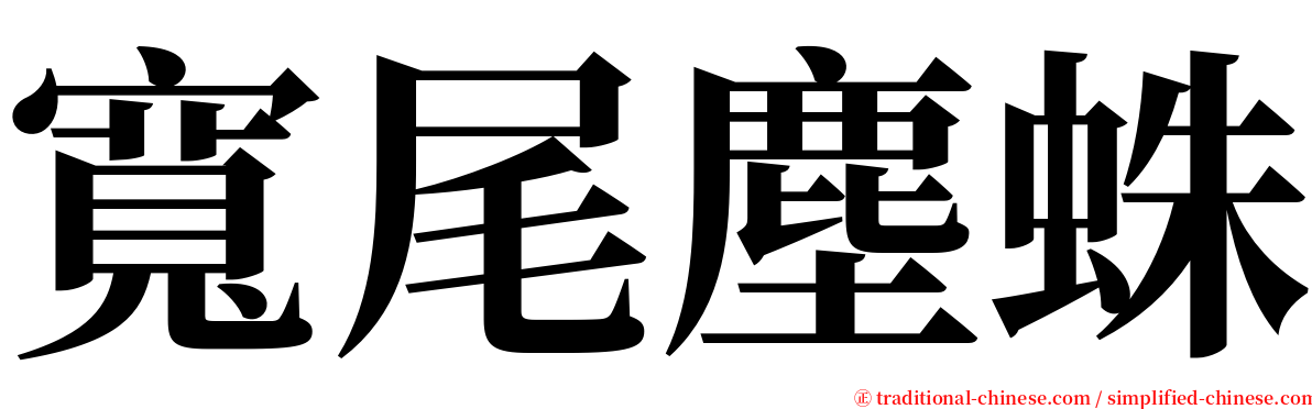 寬尾塵蛛 serif font