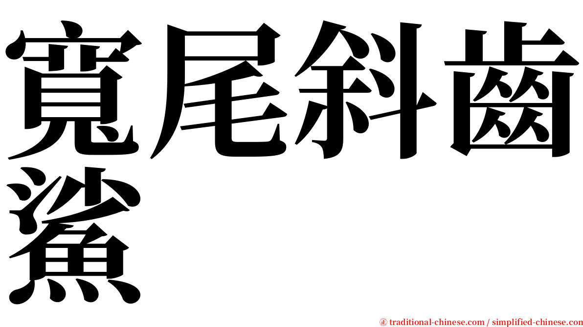 寬尾斜齒鯊 serif font