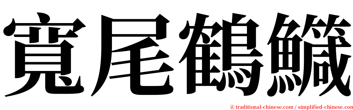 寬尾鶴鱵 serif font