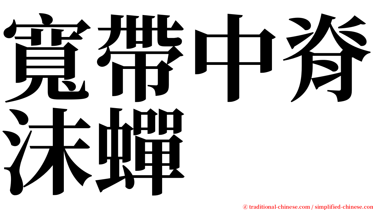 寬帶中脊沫蟬 serif font