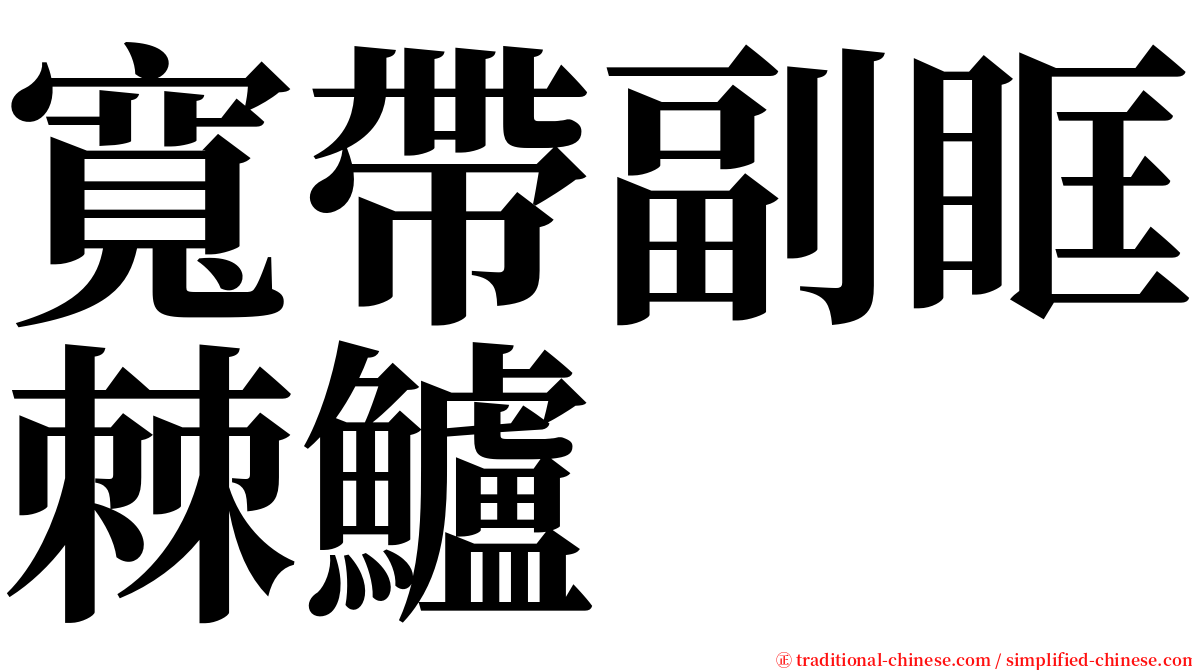 寬帶副眶棘鱸 serif font