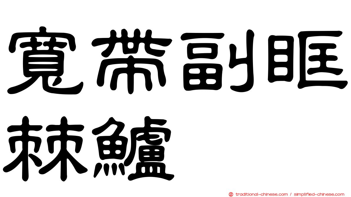 寬帶副眶棘鱸