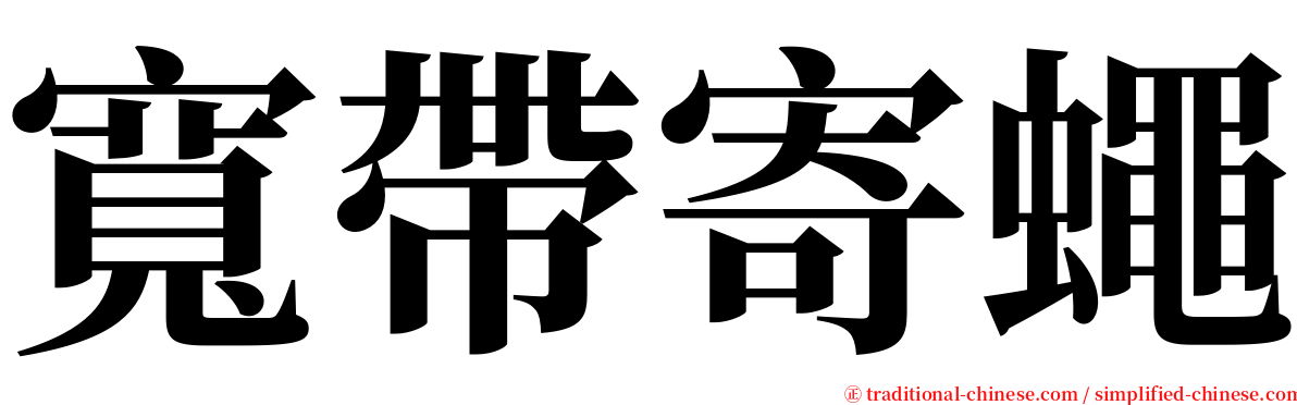 寬帶寄蠅 serif font